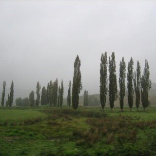 nz2017-2-343