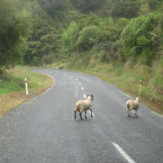 nz2017-2-344