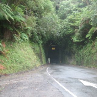 nz2017-2-346