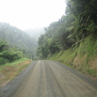 nz2017-2-350