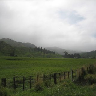 nz2017-2-352