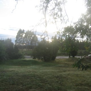 nz2017-2-359