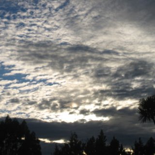 nz2017-2-360