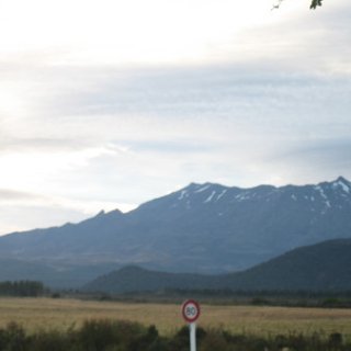 nz2017-2-361
