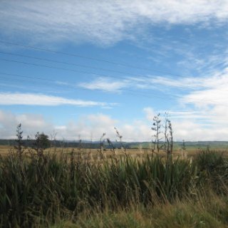 nz2017-2-365