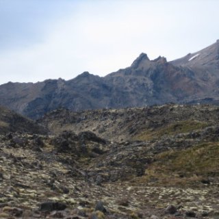 nz2017-2-368