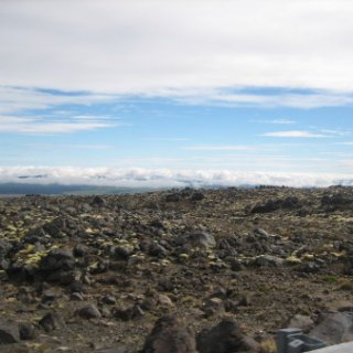 nz2017-2-369