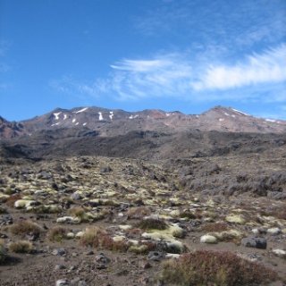 nz2017-2-380