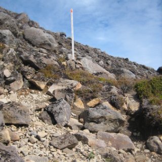 nz2017-2-386