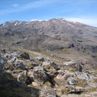 nz2017-2-388