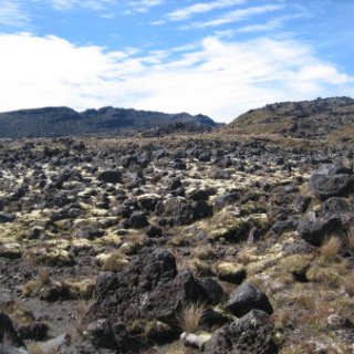nz2017-2-390