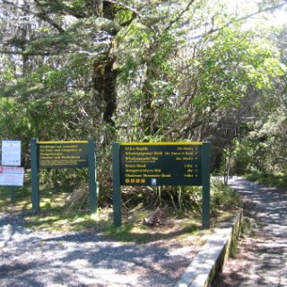 nz2017-2-393