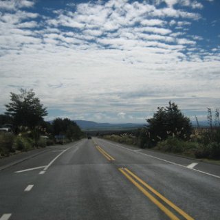 nz2017-2-394