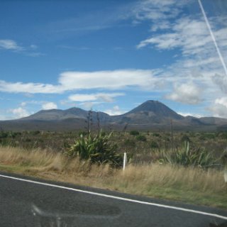 nz2017-2-395