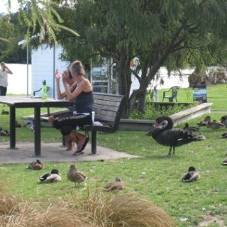 nz2017-2-401