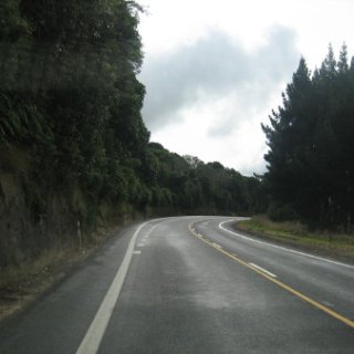 nz2017-2-408