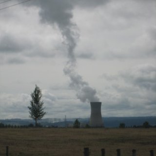 nz2017-2-410