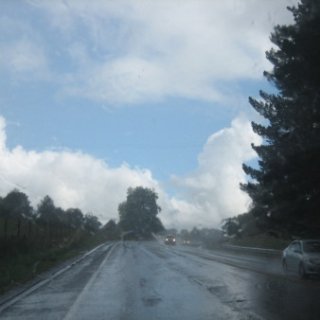 nz2017-2-431