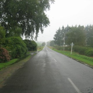 nz2017-2-420