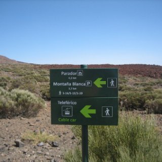 131