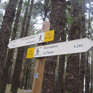 405