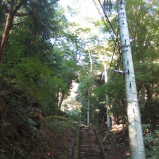 2017.11.06-ooyama-17