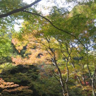 2017.11.06-ooyama-22