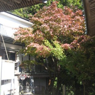 2017.11.06-ooyama-26