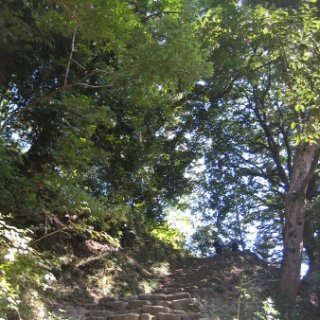 2017.11.06-ooyama-27
