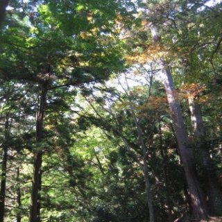 2017.11.06-ooyama-30