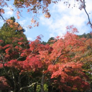 2017.11.06-ooyama-31