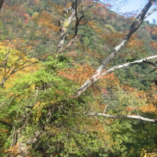 2017.11.06-ooyama-35