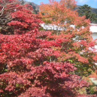 2017.11.06-ooyama-37