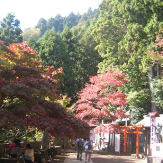 2017.11.06-ooyama-40