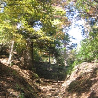 2017.11.06-ooyama-45