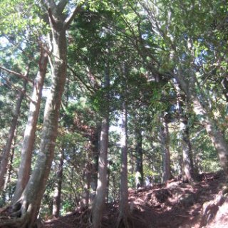 2017.11.06-ooyama-46
