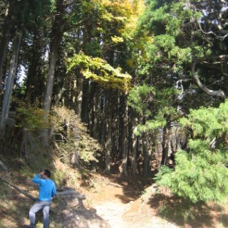 2017.11.06-ooyama-51