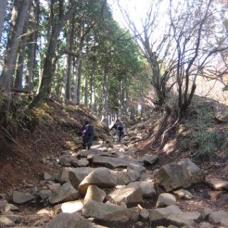 2017.11.06-ooyama-52
