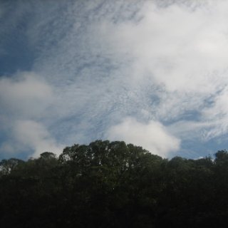 2016.08.13-110