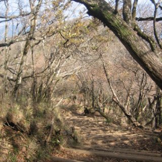 2017.11.06-ooyama-64