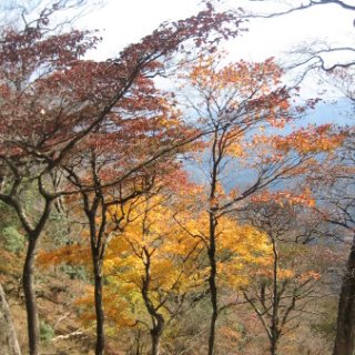 2017.11.06-ooyama-65