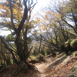 2017.11.06-ooyama-68