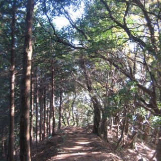 2017.11.06-ooyama-70