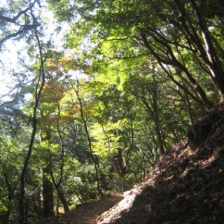 2017.11.06-ooyama-75