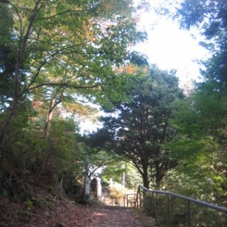 2017.11.06-ooyama-80
