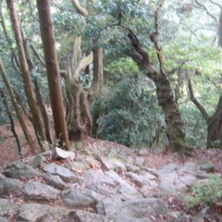 2017.11.06-ooyama-82
