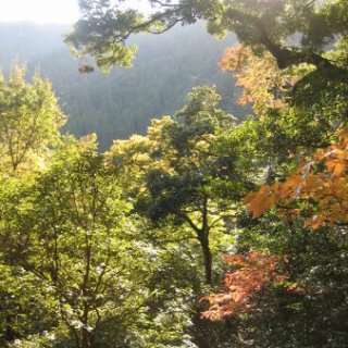 2017.11.06-ooyama-83