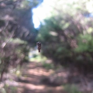 2016.08.13-080
