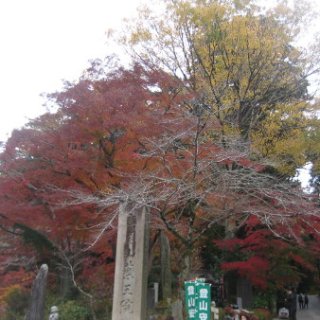 2017.11.19-09