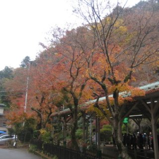 2017.11.19-14